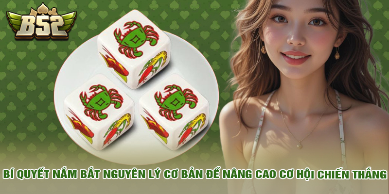 Bí quyết nắm bắt nguyên lý cơ bản để nâng cao cơ hội chiến thắng.