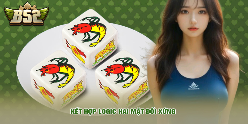 Kết hợp logic hai mặt đối xứng